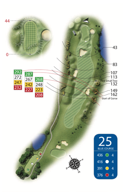 Blue Course - Hole 25