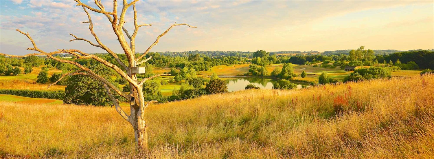 Scenic golf course Wiltshire