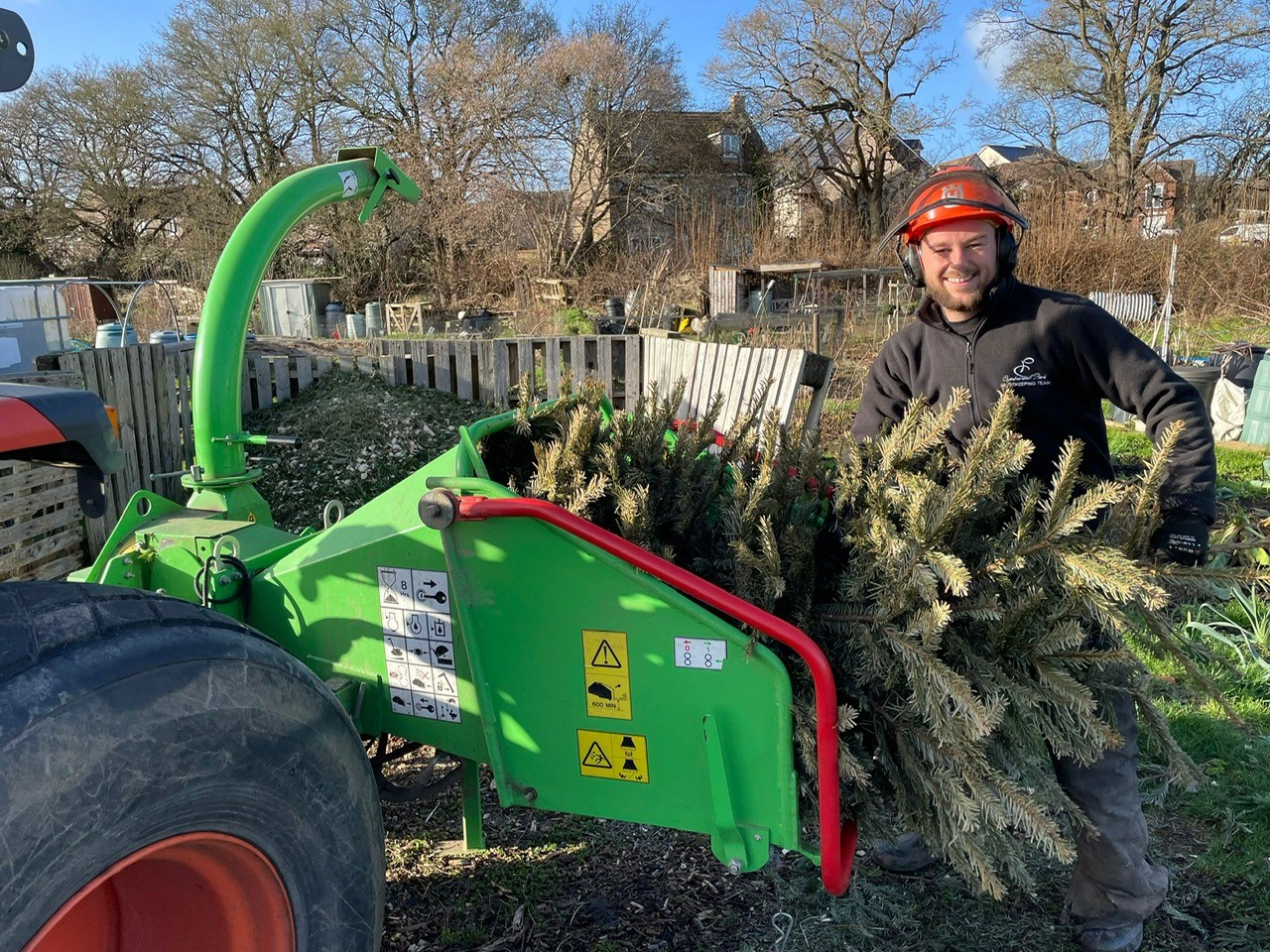 Tree Chipping