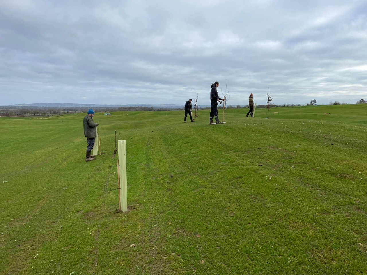 Tree Planting