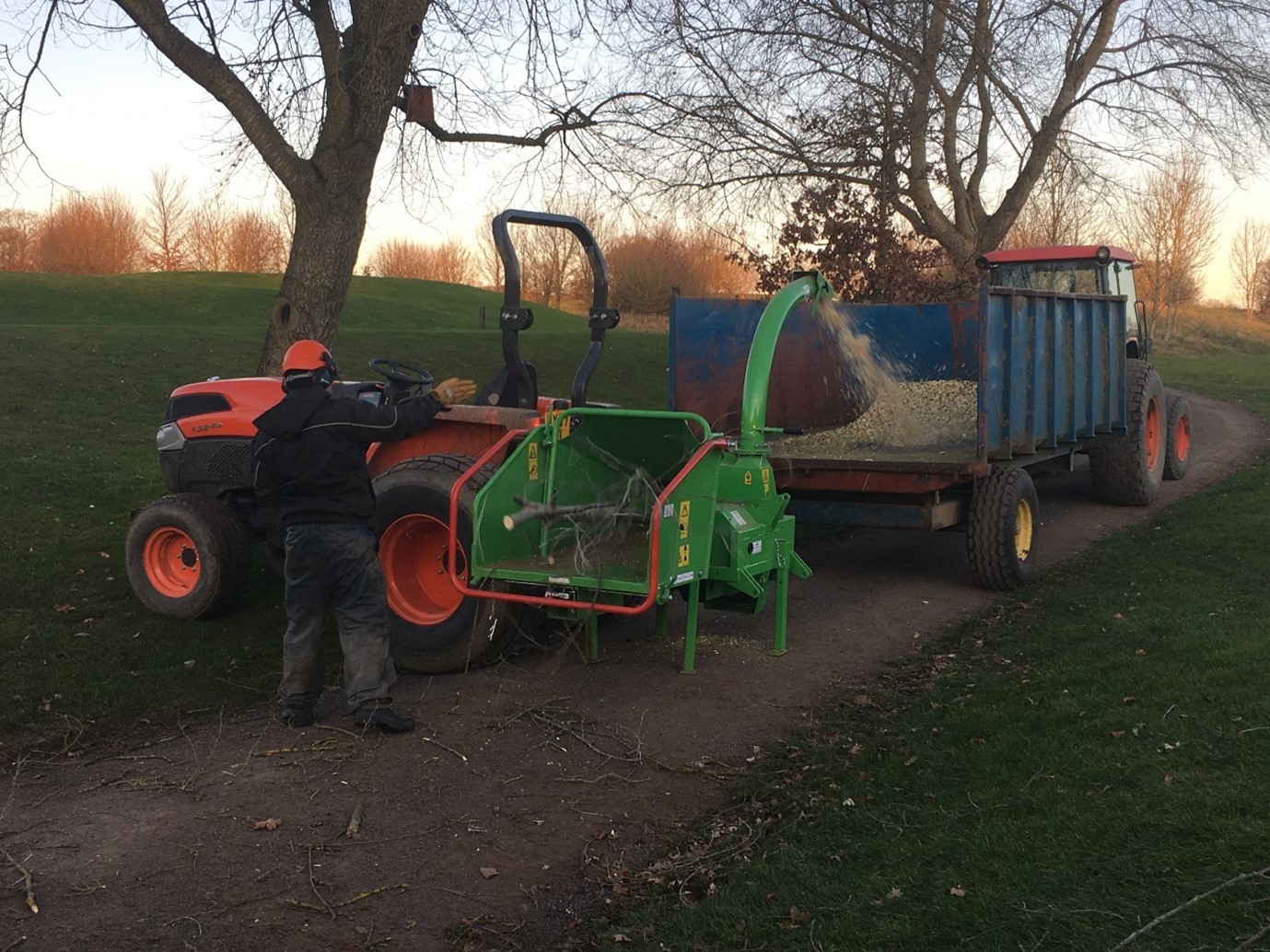 Tree Maintenance